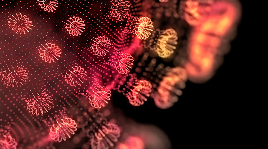 corona virus