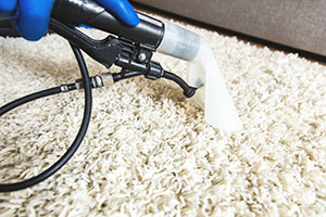 rug cleaning equipment being applied to rug